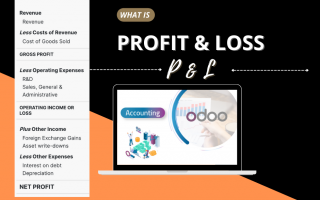 Profit and Loss (P&L) အရှုံးအမြတ်စာရင်း  အကြောင်း ￼