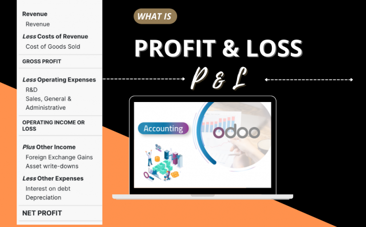 Profit and Loss (P&L) အရှုံးအမြတ်စာရင်း  အကြောင်း ￼