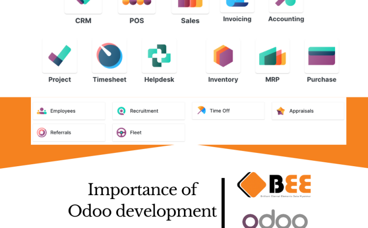 Importance of Odoo development