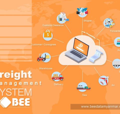 odoo erp company bee data 19